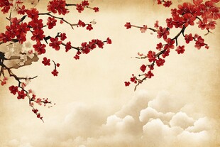 唯美梅花背景