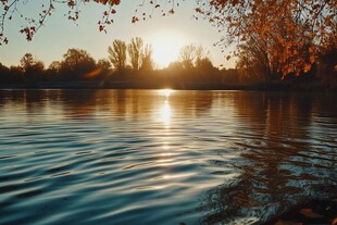 森林潭水夕阳秋色