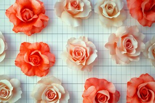 立体背景玫瑰图