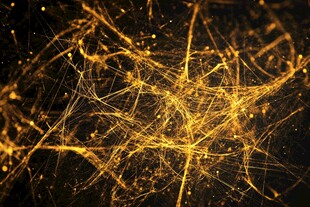 黄色炫酷线条背景