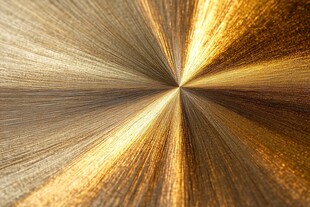 金色线条毛发纹理