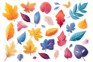 秋天落叶彩叶植物素材