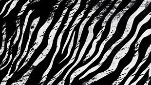 黑白条纹斑马皮纹