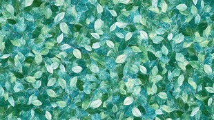 蓝紫色树叶背景