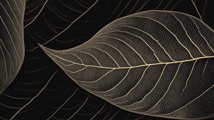 创意叶脉纹理