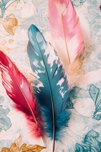 ins婚礼翅膀背景