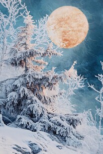 冬季仙境冰雪树挂