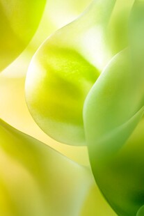 绿色渐变扭曲的