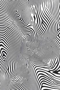 黑白斑马纹线状