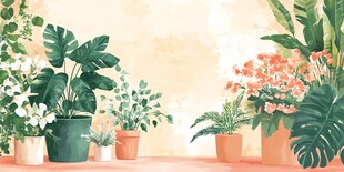 室内植物插画