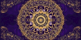紫色曼陀罗