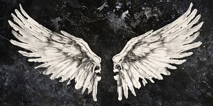 翅膀浮雕