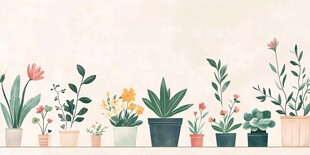 室内植物插画