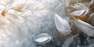 梦幻高清桌面壁纸