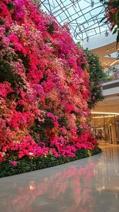室内广场花墙