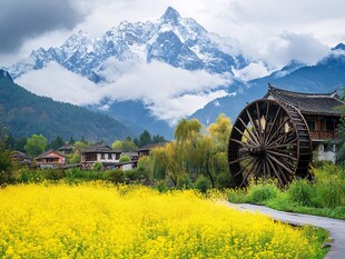 金海雪山