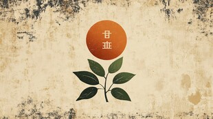 癸花籽油标志设计