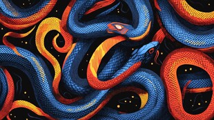 蛇合集插画