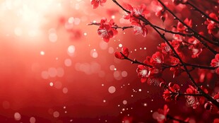 唯美梦幻梅花林