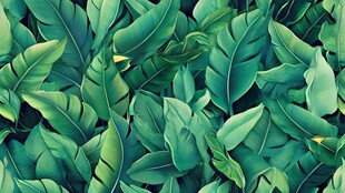绿叶背景画