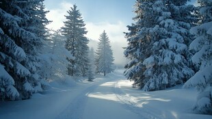 高清大画幅冬天雪景