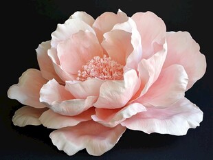 3d立体花卉牡丹