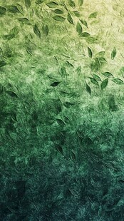 高清唯美树叶背景