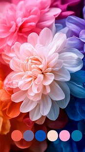 彩色绚丽梦幻唯美花朵