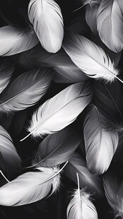 黑白风格壁纸