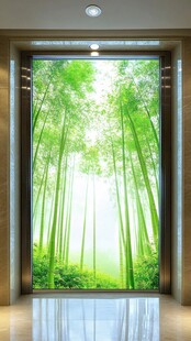 窗外竹景茂密竹林