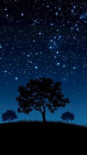 大树夜景树枝剪影