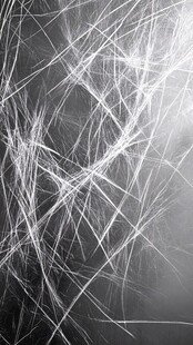 梦幻毛发线条纹理