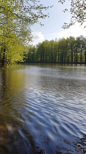 森林湖泊水面