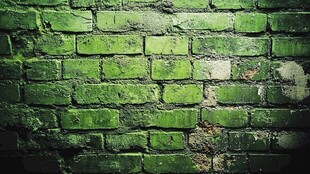 绿砖背景强墙