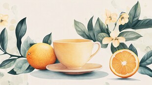 砂糖橘插画设计