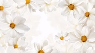 3d立体简约花