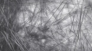 黑白色毛发背景