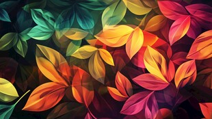 五彩树叶背景实拍