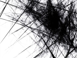 黑白色毛发背景