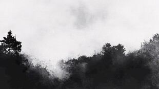 水墨森林