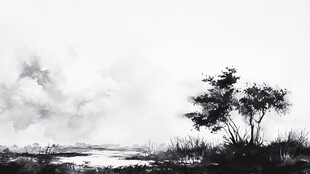 郊野墨色高清图