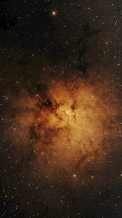 星宙天文玫瑰星云