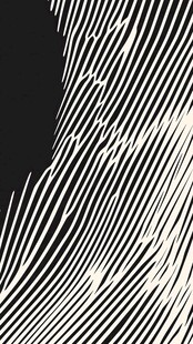 创意斑马皮纹