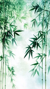 唯美竹影竹韵