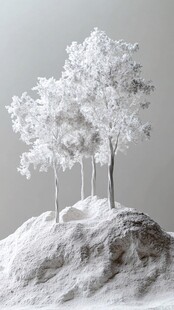 生长在悬崖边的两棵树