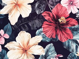 田园风热带树叶花朵