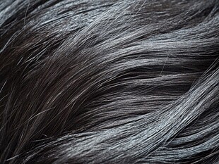 红棕色毛发纹理