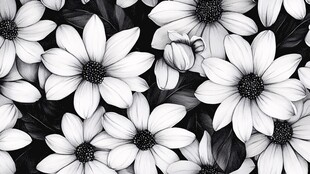 黑白菊花背景