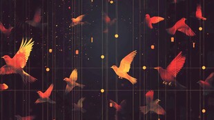 梦幻飞鸟自由插画背景