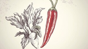 辣椒插画场景图